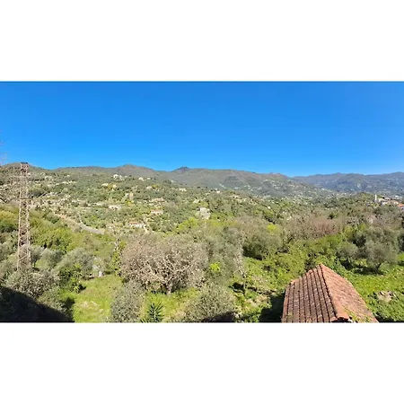 Les Oliviers Rapallo