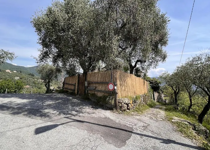 Lejlighed Les Oliviers